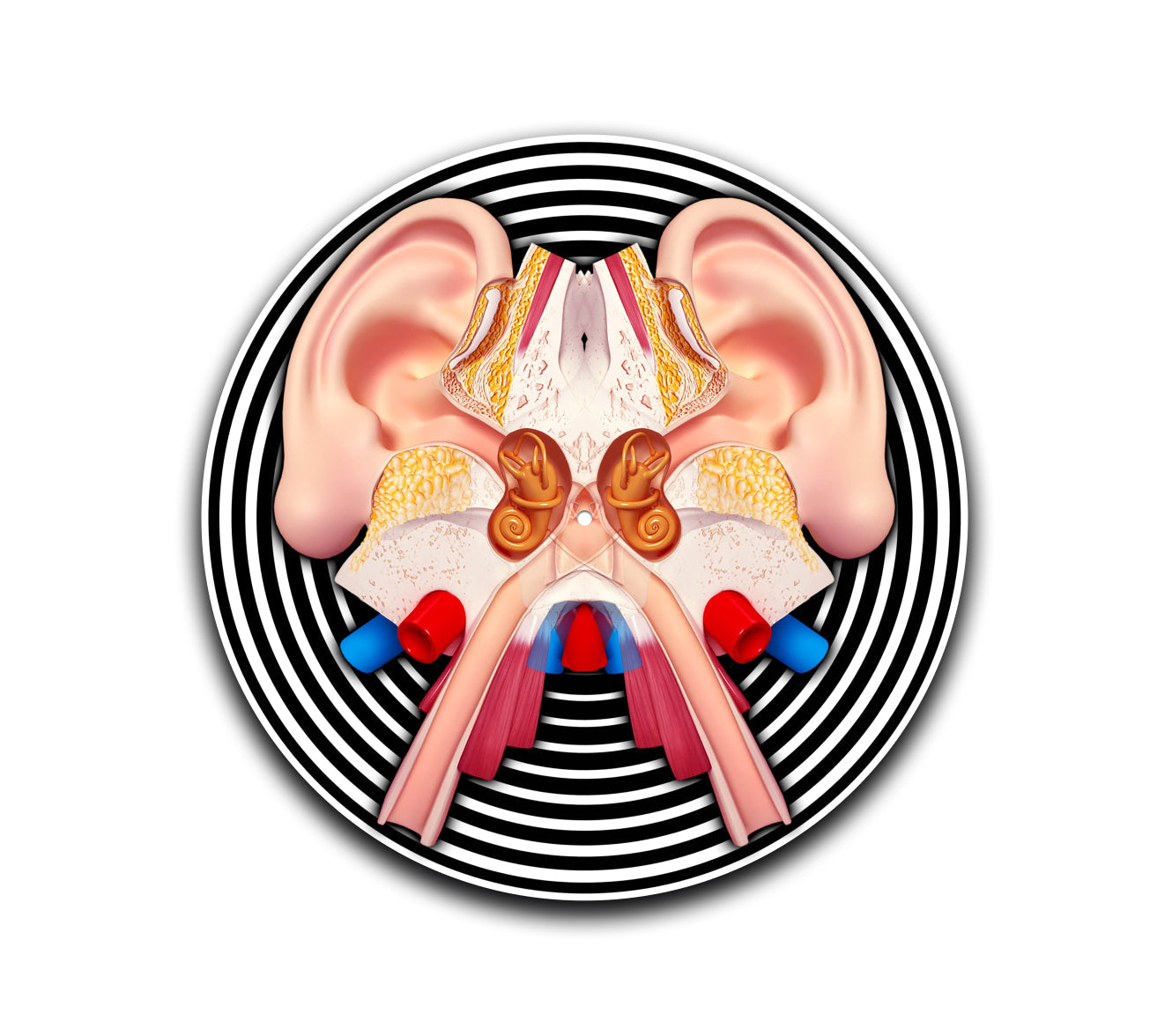 Auditory System Turntable Slipmat