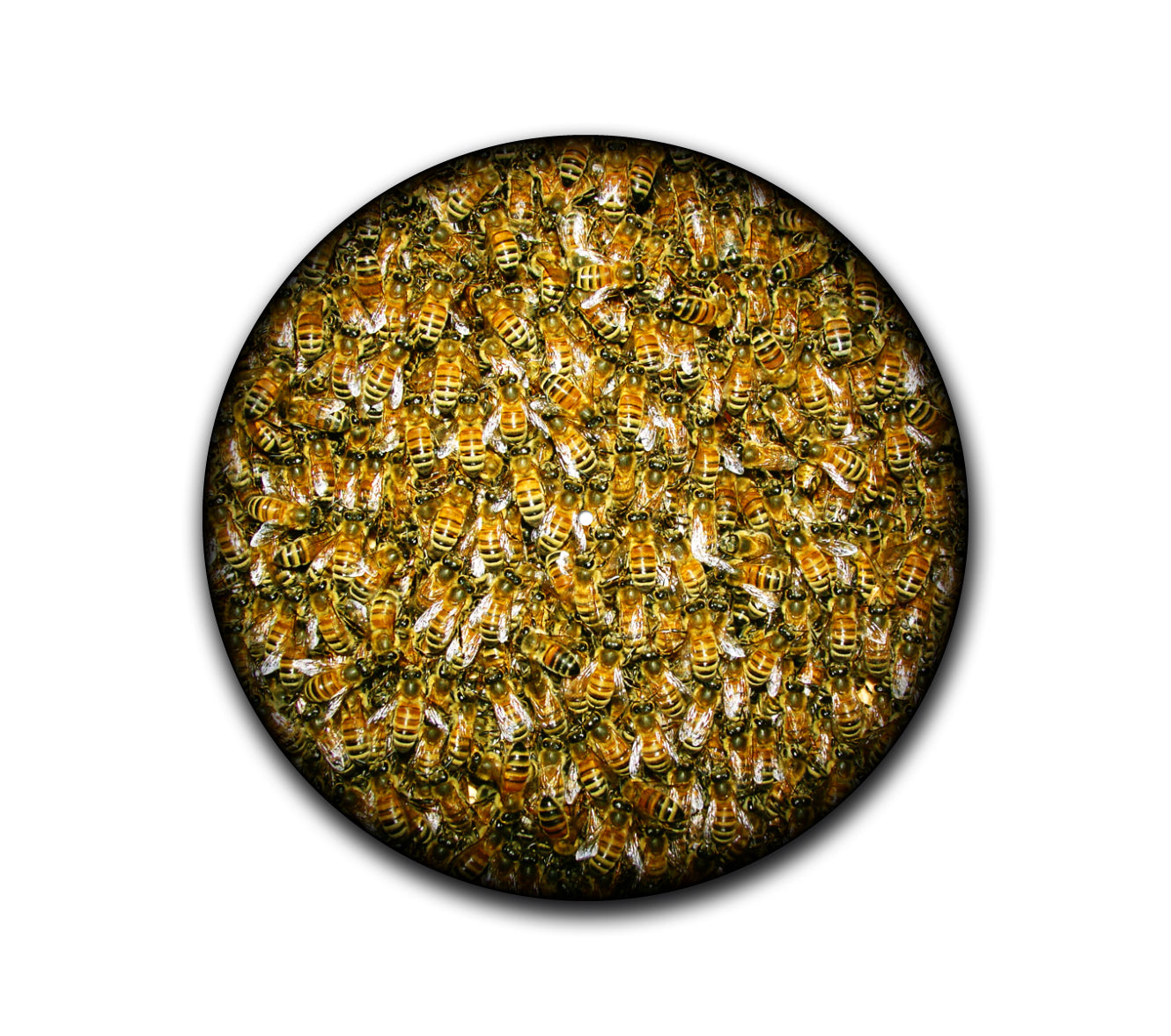 Bees Turntable Slipmat