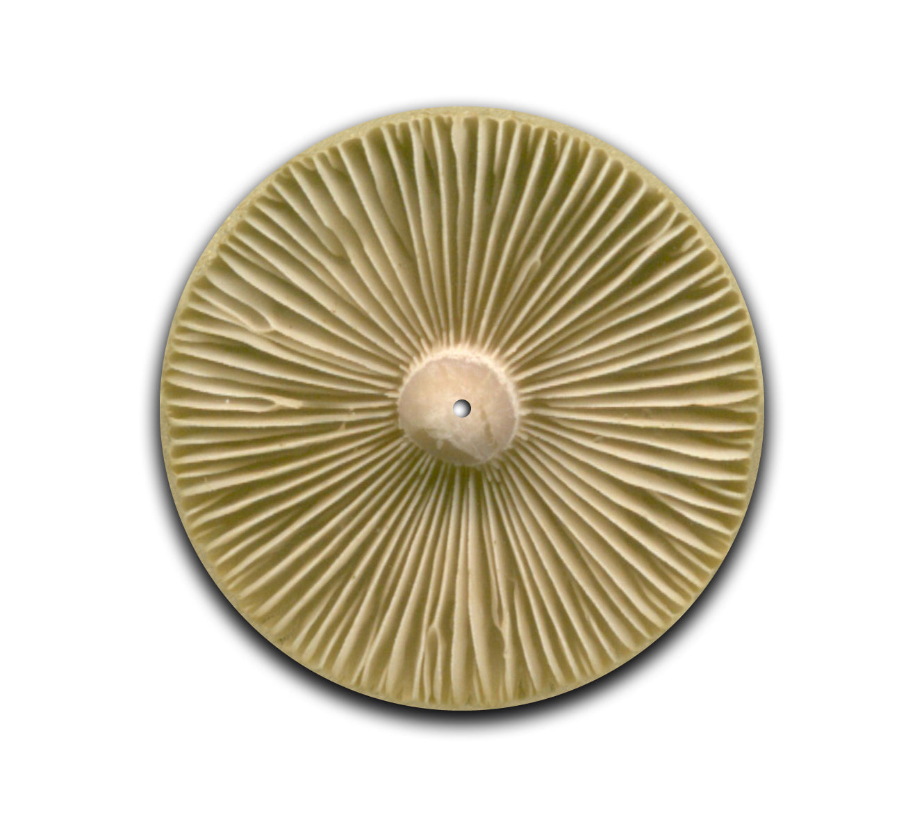 Shroom Turntable Slipmat