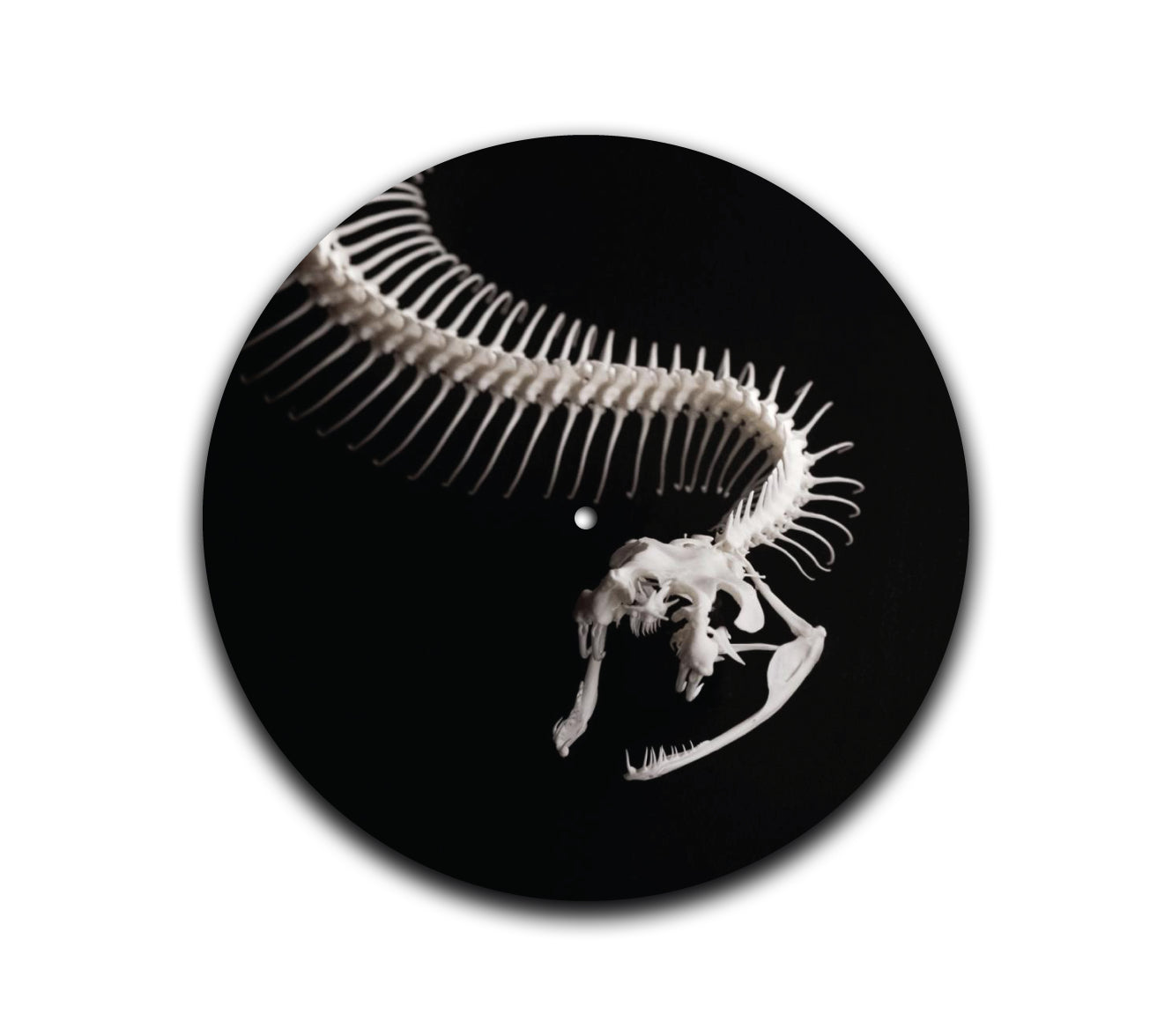 2-Sided Snake Skelly Turntable Slipmat