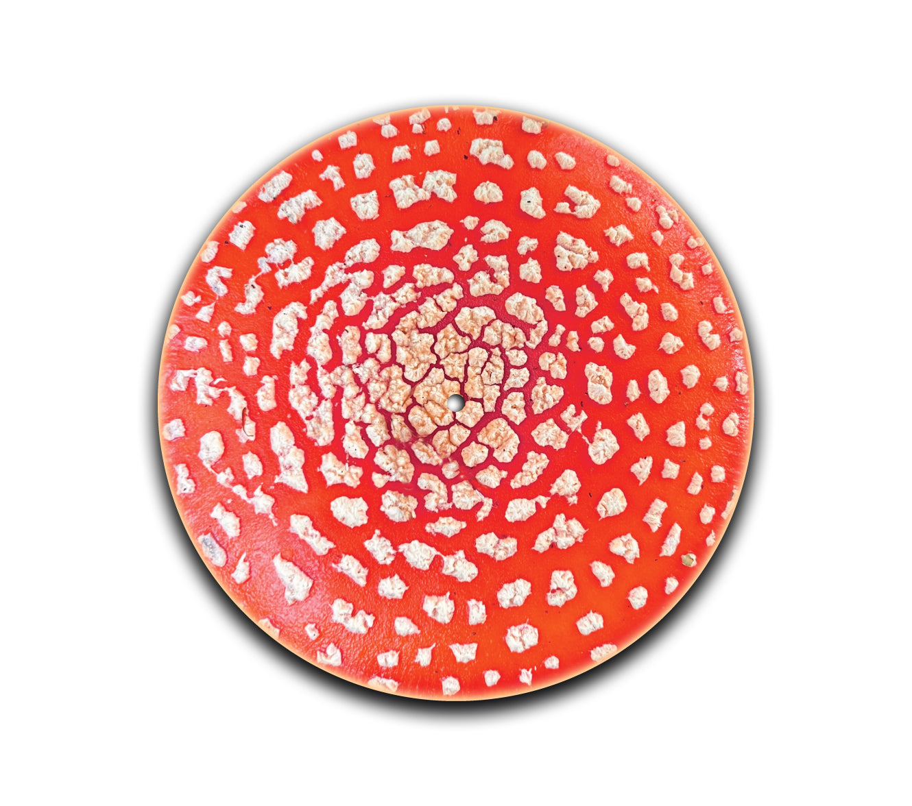 Amanita Turntable Slipmat