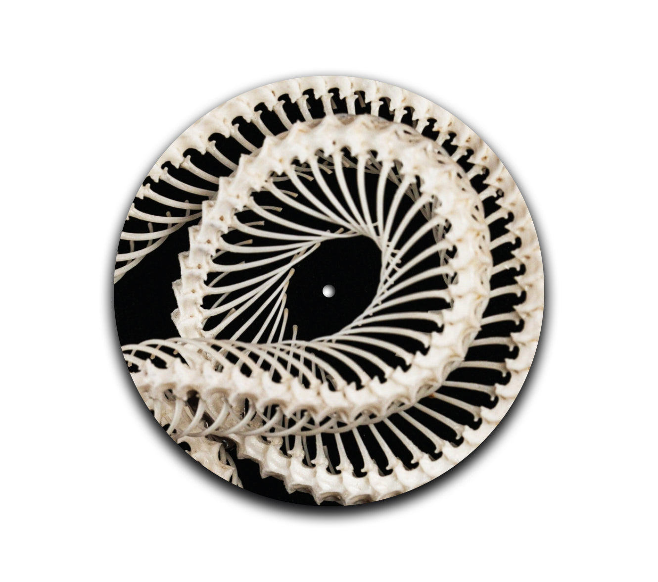 2-Sided Snake Skelly Turntable Slipmat